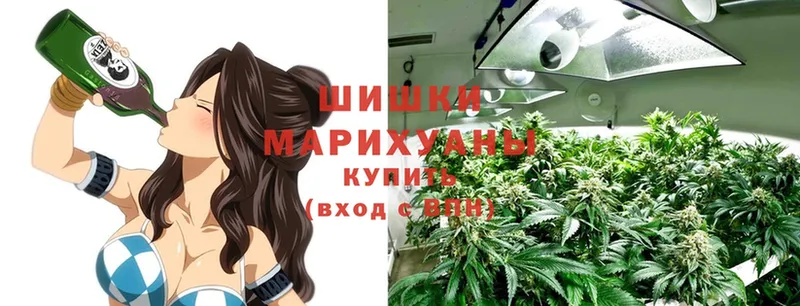 Канабис White Widow  где найти   Кунгур 